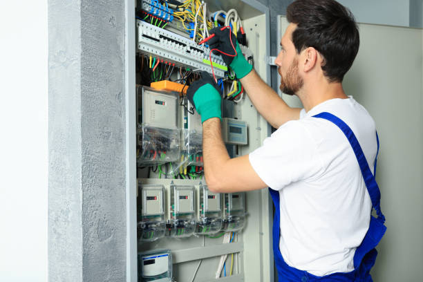 Best Electric Panel Repair  in Waconia, MN